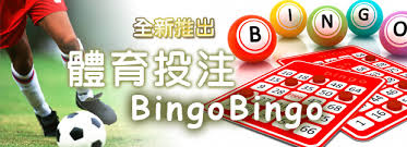 百家樂投注法